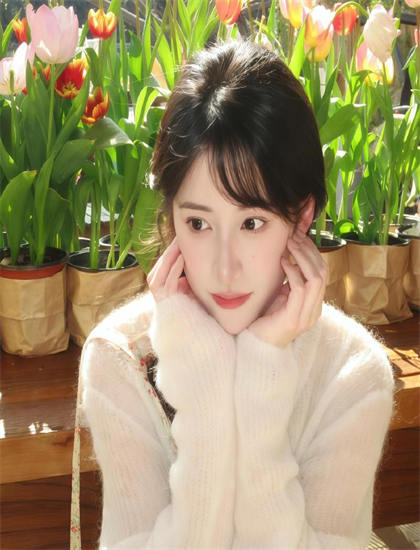 战狼5免费观看完整版高清_千里江山不如你短剧免费观看_清平乐电视剧免费观看全集